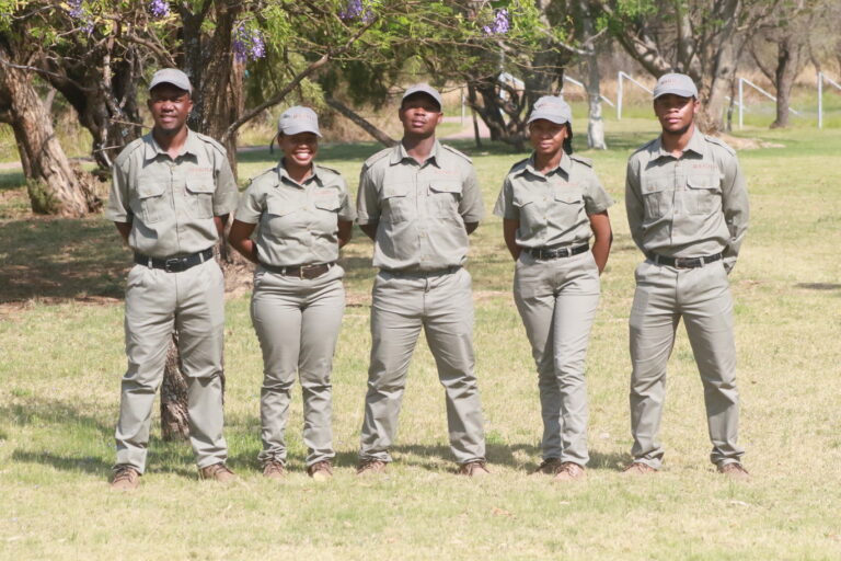 Trainee Guides 2