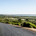 West Coast Way_Alive with Nature 4 copy